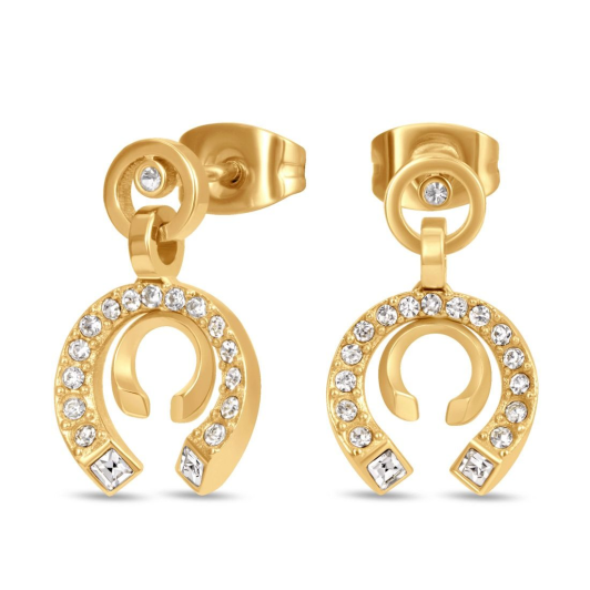 Cerruti серьги CIJLE0012901