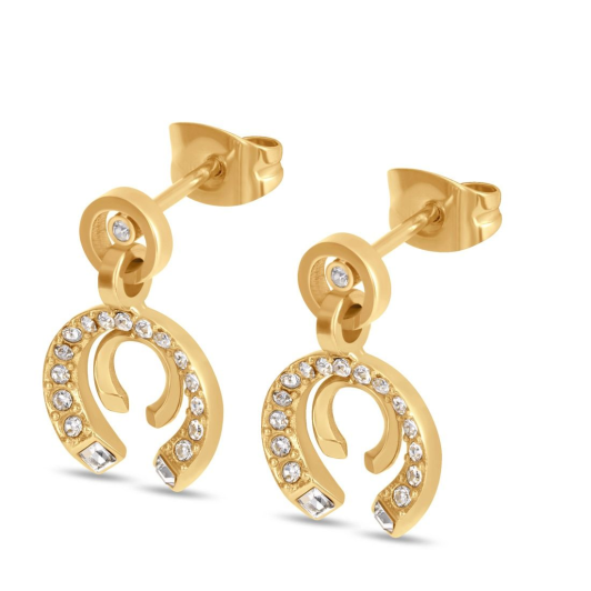 Cerruti серьги CIJLE0012901